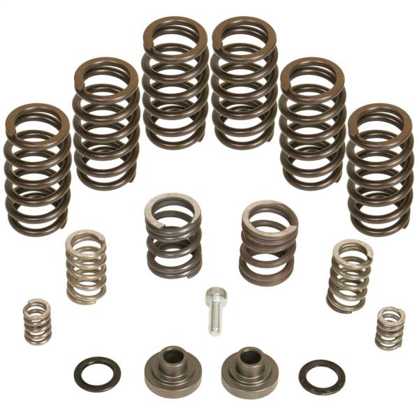 BD Diesel - Governor Spring Kit P7100 Pump 4000 RPM Incl. Intake Valve Springs/Hardware - 1040185