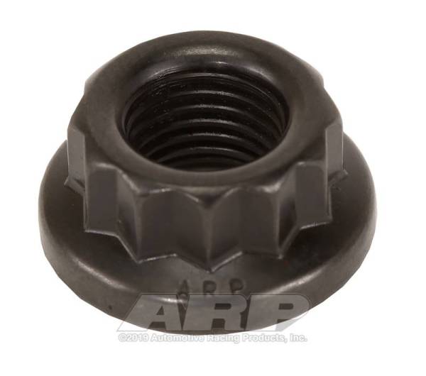 ARP - ARP 9/16in -12 12pt Nut Kit - 301-8308