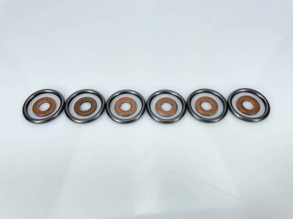 Exergy - Exergy 2007.5-2012 Cummins 6.7 Seal Kit (O-Ring & Copper Gasket) (Set of 6) - E05 20301