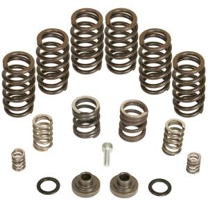 BD Diesel - Governor Spring Kit P7100 Pump 4000 RPM Incl. Intake Valve Springs/Hardware - 1040185 - Image 1