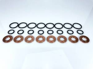 Exergy 2001-2004 LB7 Duramax Seal Kit (O-Ring & Copper Gasket) (Set of 8) - E05 10101