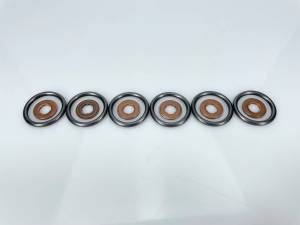 Exergy 2007.5-2012 Cummins 6.7 Seal Kit (O-Ring & Copper Gasket) (Set of 6) - E05 20301